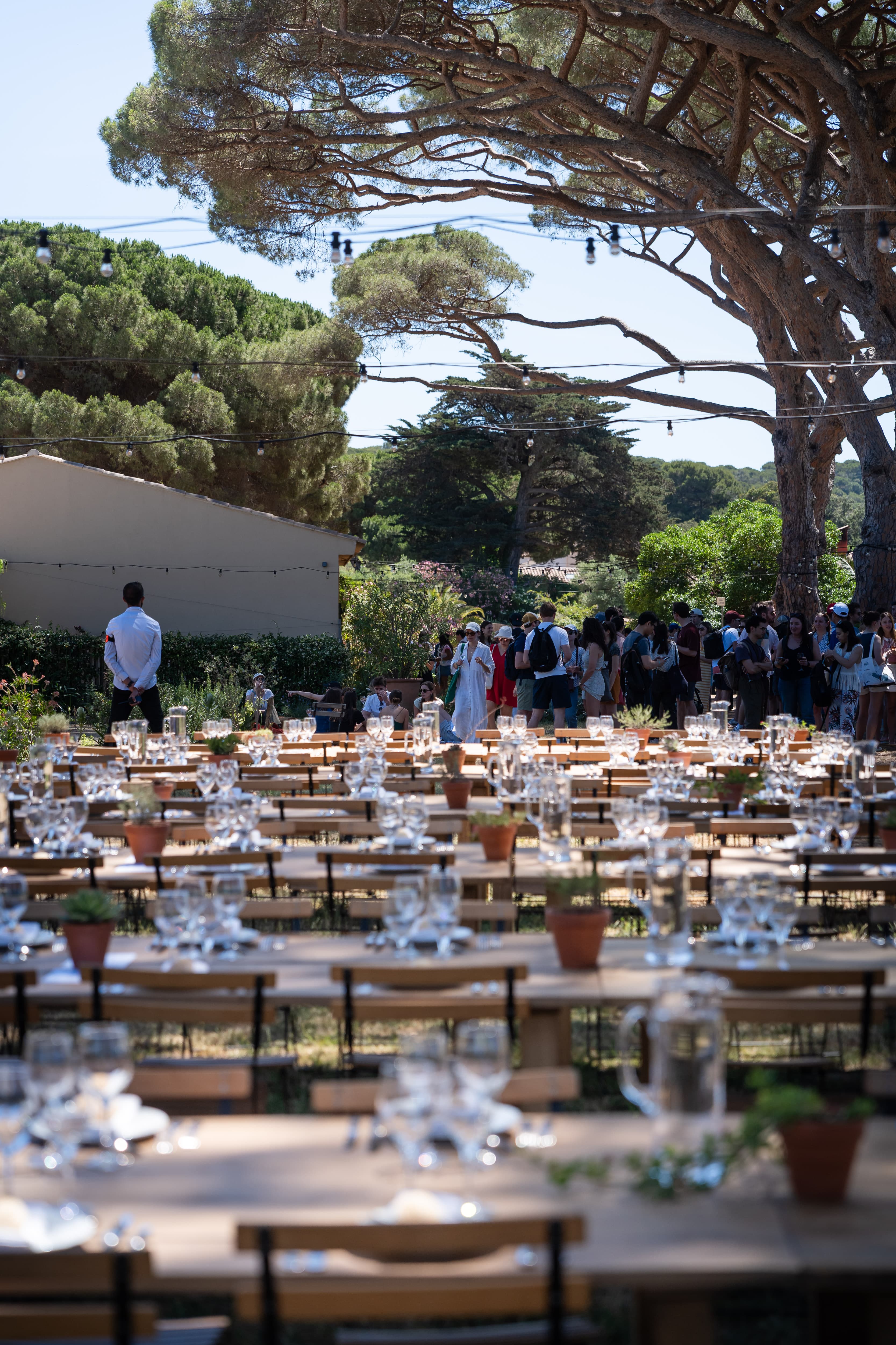 Tables dressées sous les pins pour le dîner du séminaire BCG