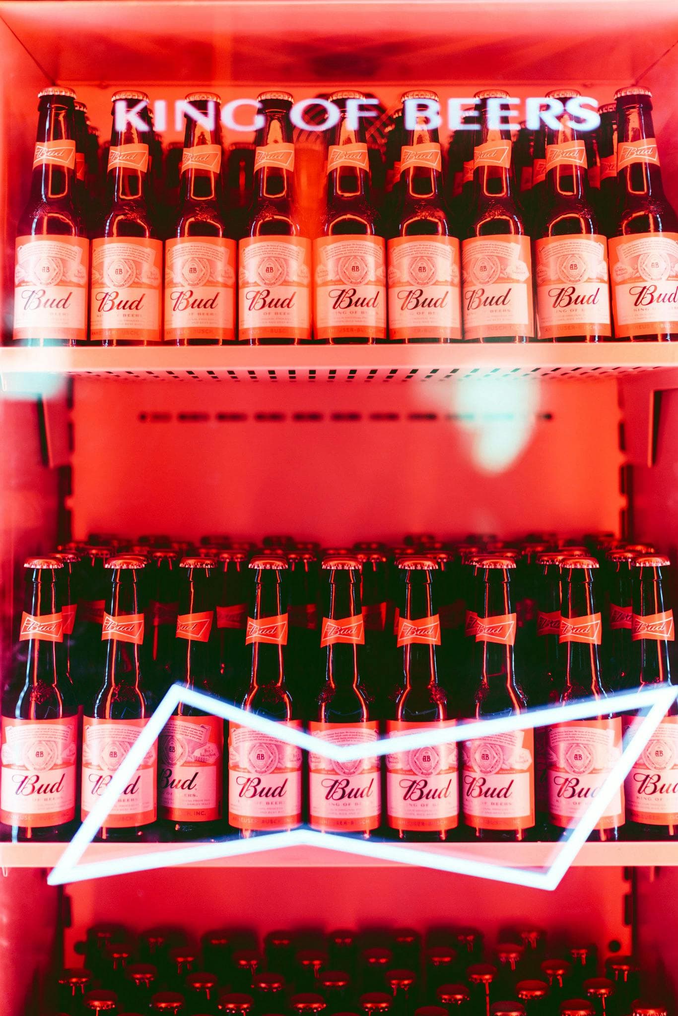 étagère pleine de bouteilles au BudLab de Budweiser