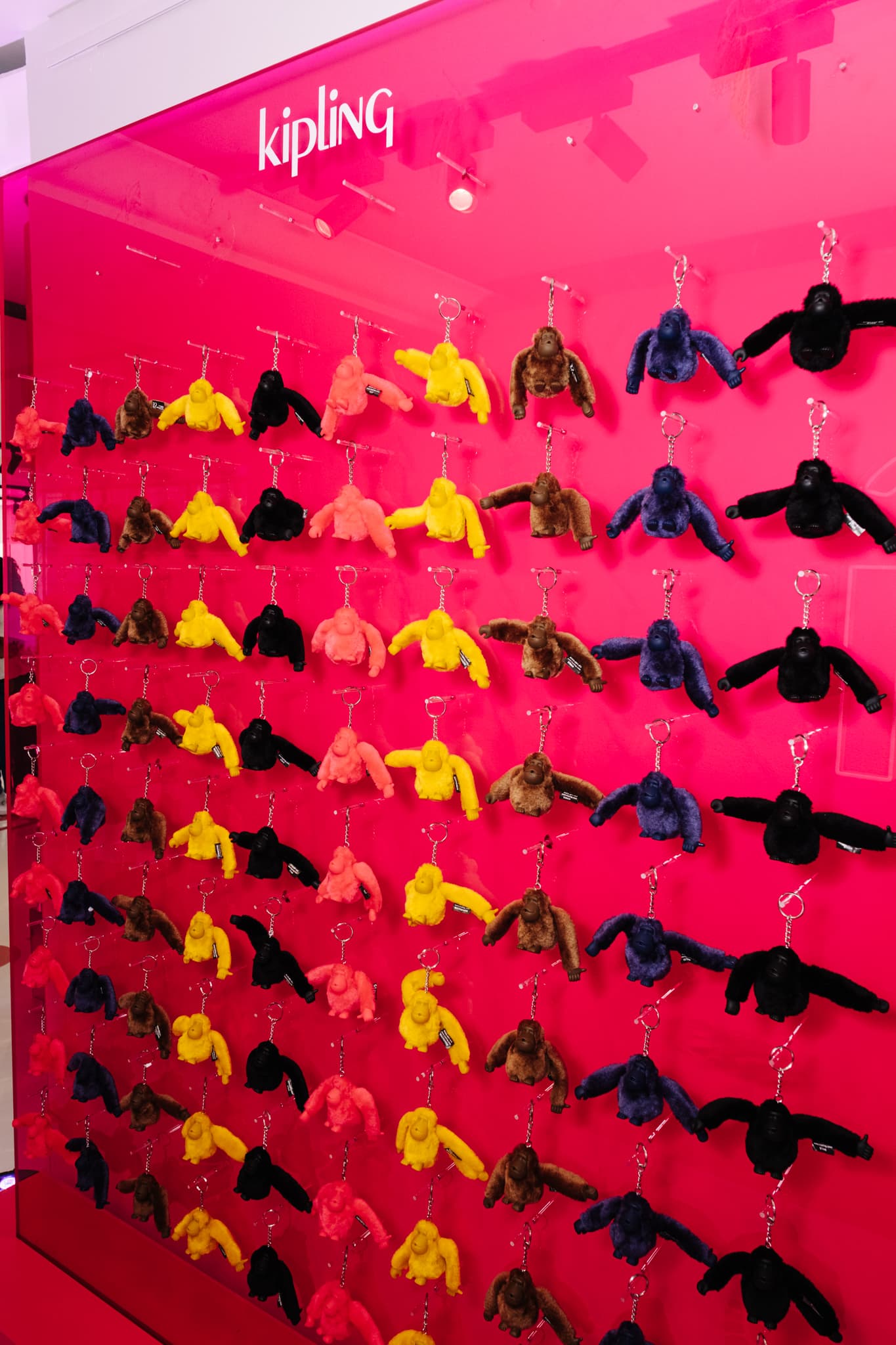 Mur de singes Kipling